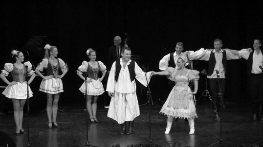 Zaujímavosťou programu bolo, že neodzneli iba dobre známe operetné šlágre, ale i menej známe, možno i zabudnuté melódie, ale i vážnejšie klavírne diela.