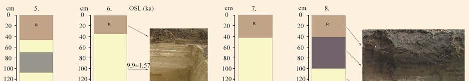 Around the sand dune in lower lying flats and also in the blowout depression of the dune thicker soil developed during the Holocene.