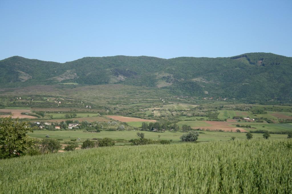 Hír János A Nyikom, az