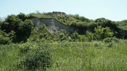 tényezők adatforrás, adatfelvételezés ideje Terepi bejárás, 2015. június. Szóbeli adatközlő (természetvédelmi őr). M.1.4.