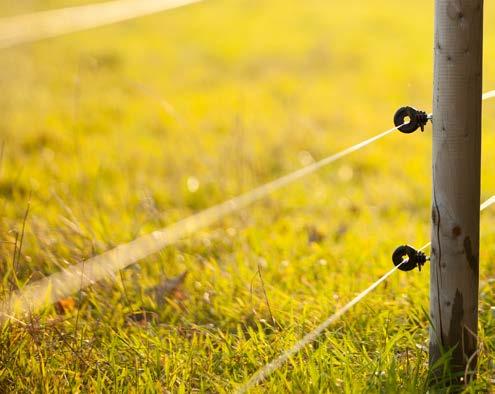 VILLANYPÁSZTOROK ÉS KIEGÉSZÍTŐK VADKÁR MEGELŐZÉS A FARMLINE TERMÉKCSALÁDDAL??? HATÁROZOTTAN IGEN!!! Mit jelent a piacon folyton jelen lévő Farmline termékcsalád?