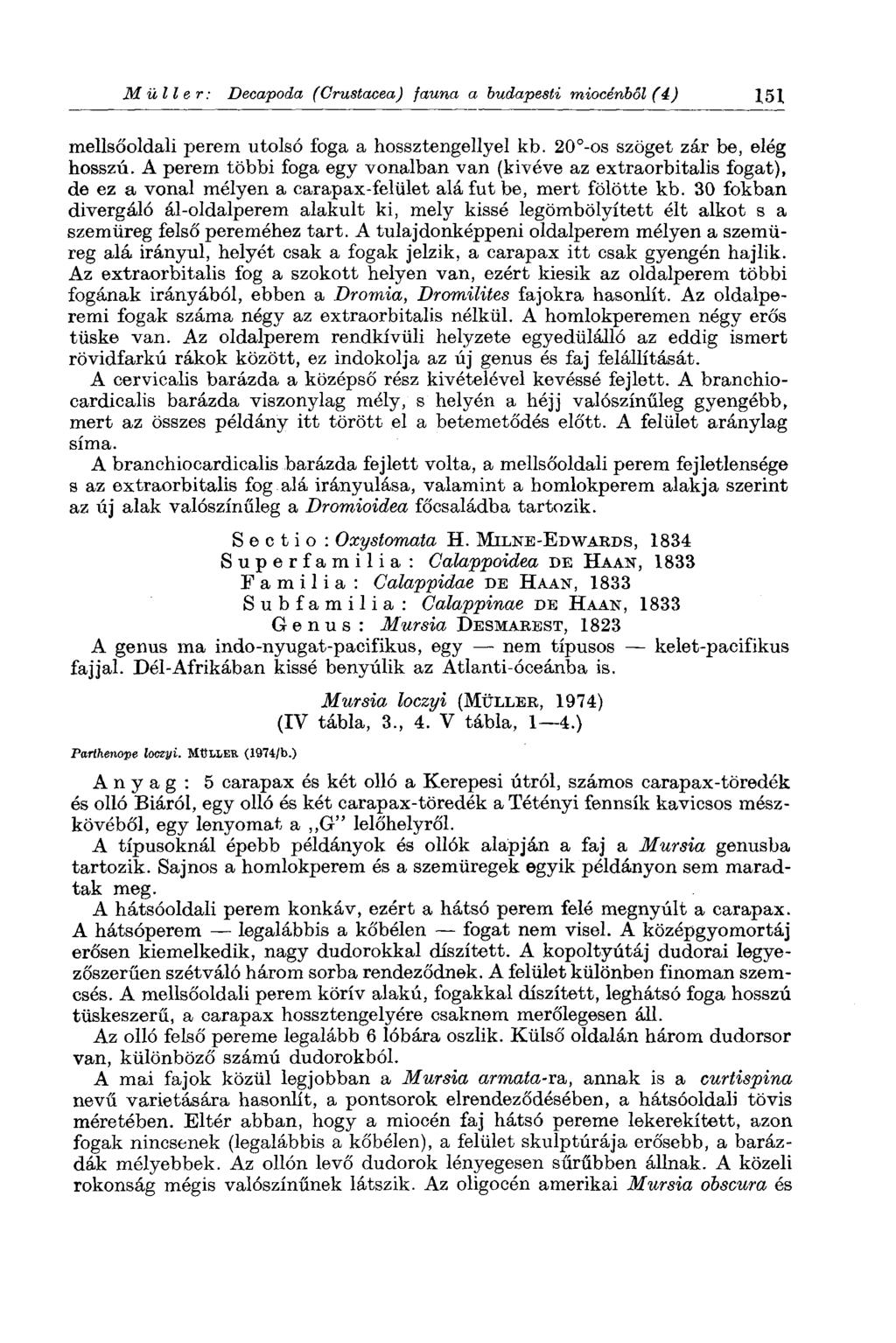 Ш üli в r: Decapoda ( Crustacea) fauna a budapesti miocénből (4) 151 mellsőoldali perem utolsó foga a hossztengellyel kb. 20 -os szöget zár be, elég hosszú.