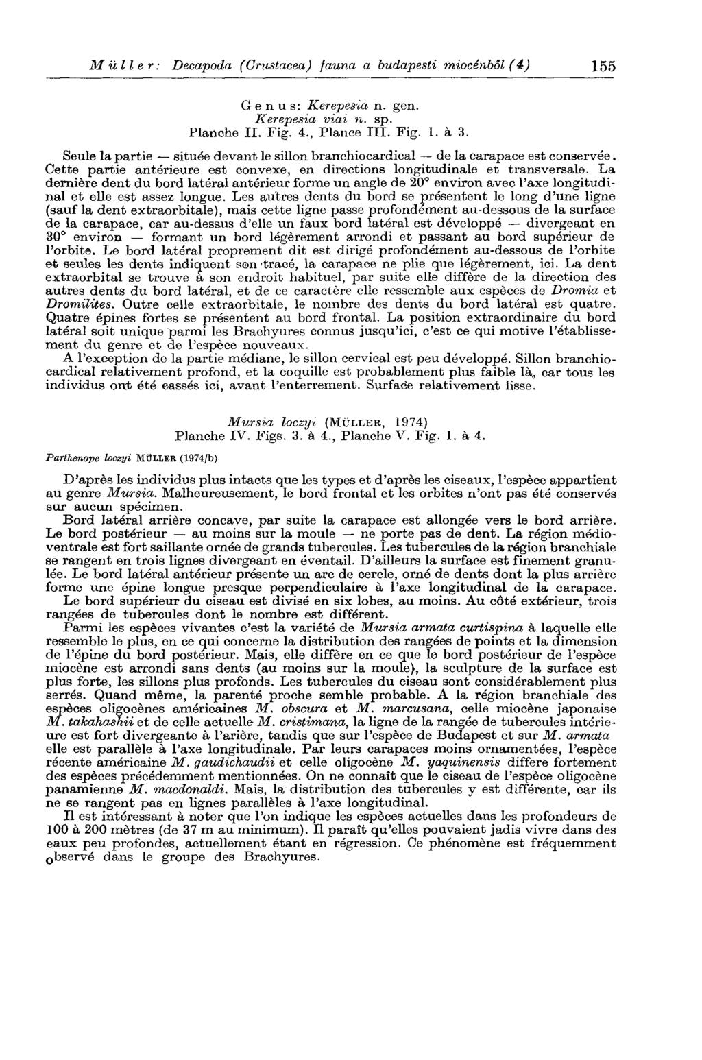 Müller: Decapoda (Crustacea) fauna a budapesti miocénből (4) 155 Genus: Kerepesia n. gen. Kerepesia viai n. sp. Planche II. Fig. 4., Plaiice III. Fig. 1. à 3.