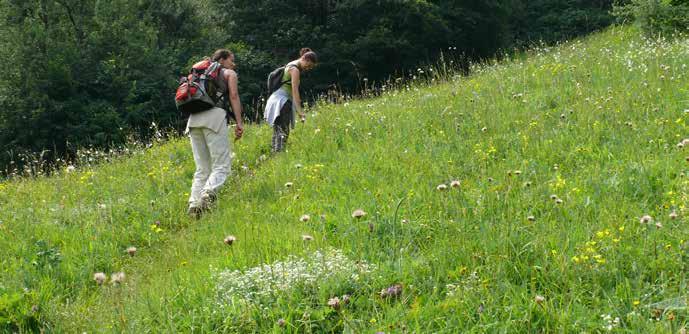 2014 decemberére elkészült a nagyon alapos, két vegetációs ciklust átívelő Natura 2000-es környezeti hatásvizsgálat.