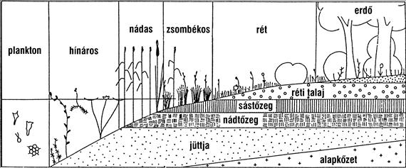A vízivadfajok környezeti rendszere 115.