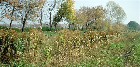 határán (Fotó: Faragó S.