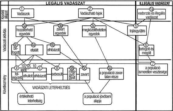 Vízi élőhely-gazdálkodás egyedeknek egy része meggyógyul (9b), a másik része vagy megkerül (10a), vagy elhullik, elveszik (10b, c).