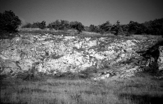 Kor A protopeneropliszos-trocholinás-gutnicellás és a spirillinás-epistominás-ophtalmidiumos mikro-biofácies az alpi mediterrán mikrofauna zonációban dogger kora-malm (bath callovi, ill.