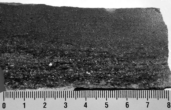 Elkülönítés A Mecseknádasdi Homokkő Formáció jelleget adó turbidites padjai nem téveszthetők össze más képződménnyel.