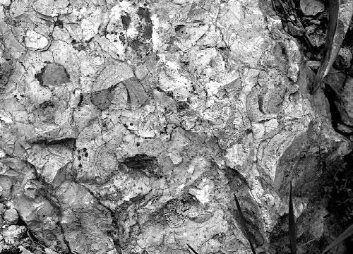 Kor Az alsó, homokos mészkő ammoniteszei felső-bath kort jeleznek (Discus zóna: GÉCZY, GALÁCZ 1998). A vasooidos mészkő az alsó-callovi Macrocephalus zónába tartozik (GÉCZY 1982, 1984b).