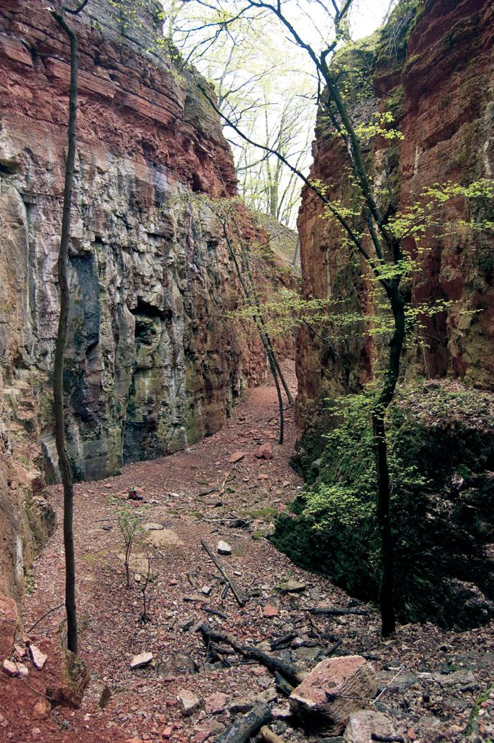 8 Alsó-jura rétegek a Nagy-Pisznice felhagyott kőfejtőinek egyikében.