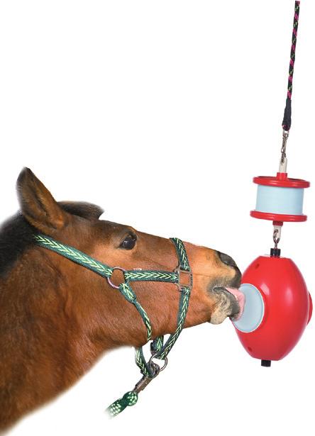 10kg-os tömbökhöz Termékkód: 31247 745 Ft-tól Nyalósó, 10 kg-os Termékkód: 32370 Nyalósó tartó 2