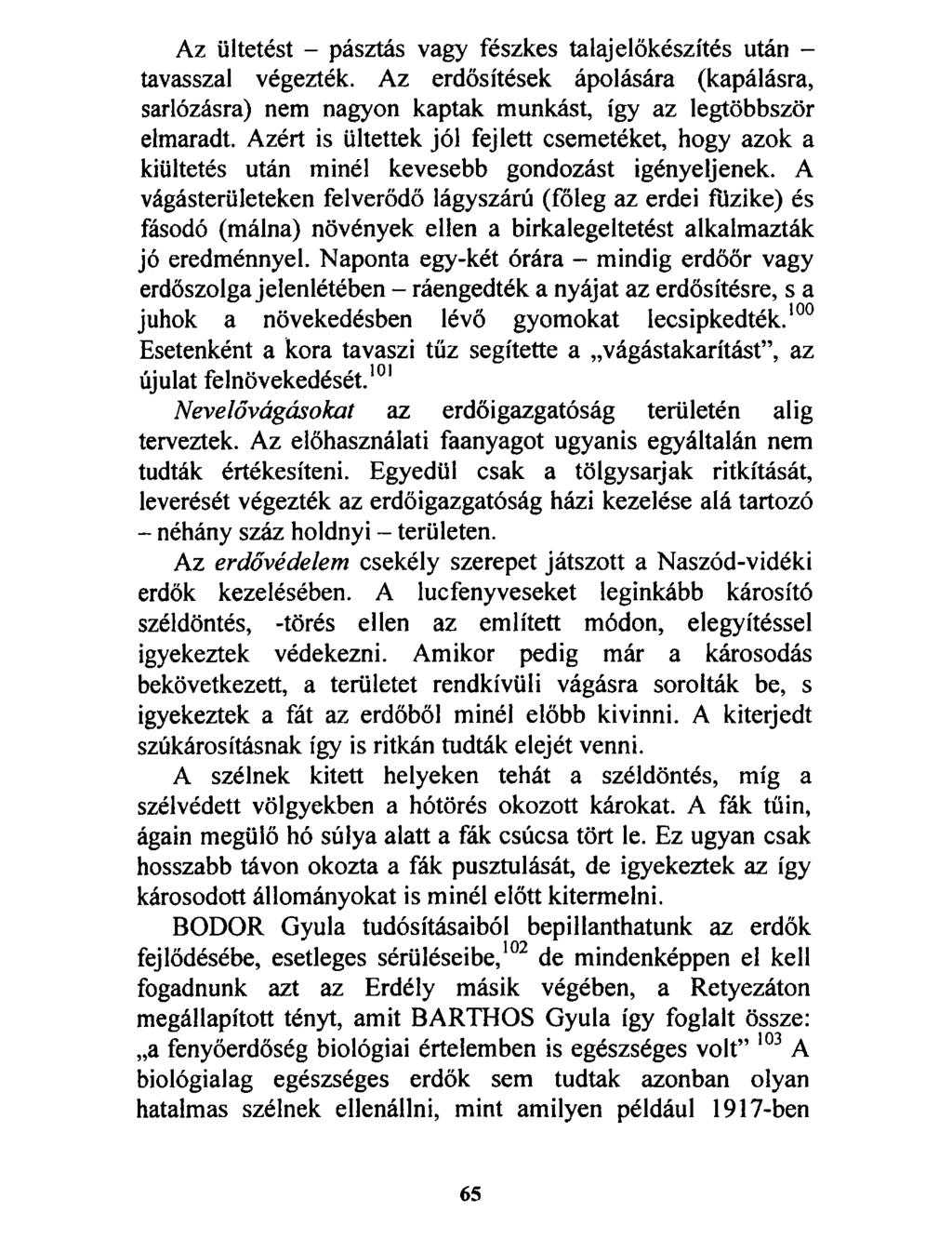 Az ültetést - pásztás vagy fészkes talaj előkészítés után - tavasszal végezték. Az erdősítések ápolására (kapálásra, sarlózásra) nem nagyon kaptak munkást, így az legtöbbször elmaradt.