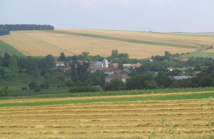 Az aprófalvas jellegből adódóan azonban csakis kisméretű, jelentős részben önfoglalkoztató