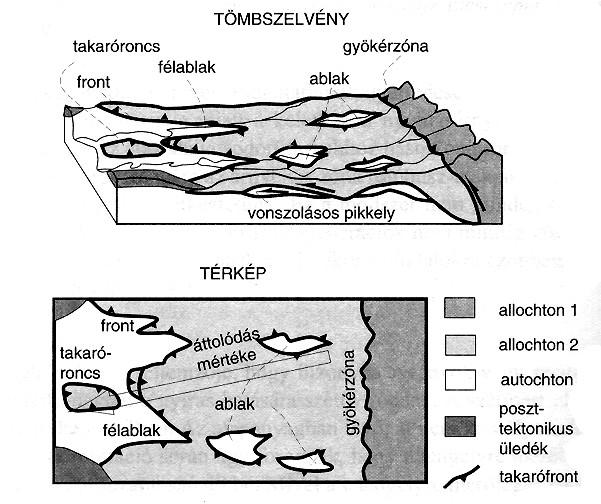 pikkelyek, takarók