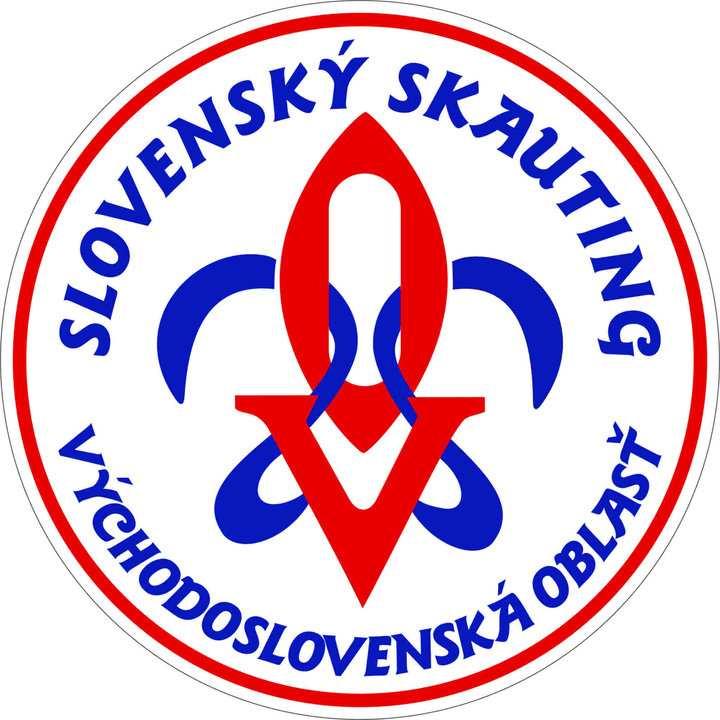 voľnočasových vzdelávacích a rozvojových projektov možnosť podieľať sa na koordinovaní národných projektov cestovanie po Európe a zvyšku sveta, kurzy a semináre doma i v zahraničí rôzne možnosti