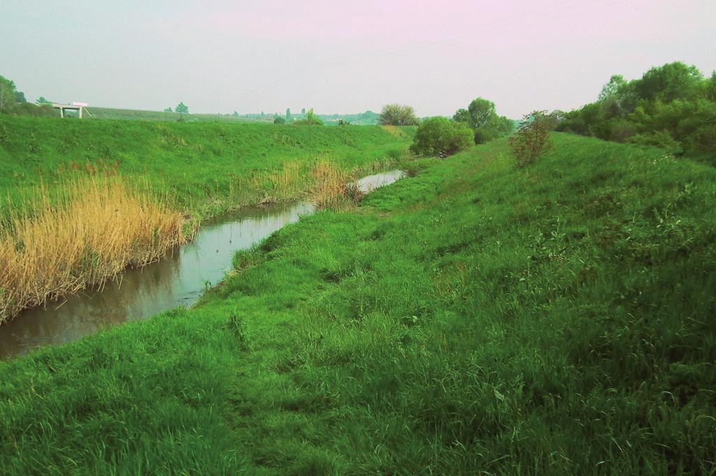 Természetvédelmi Terület 4.