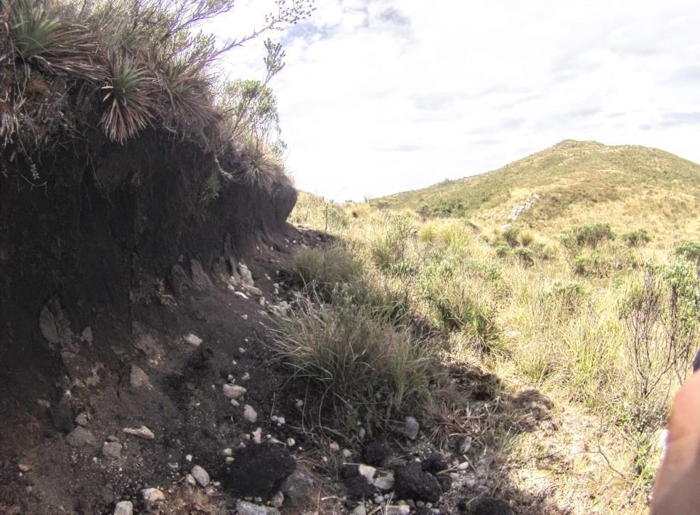 Adaptive Water Management: