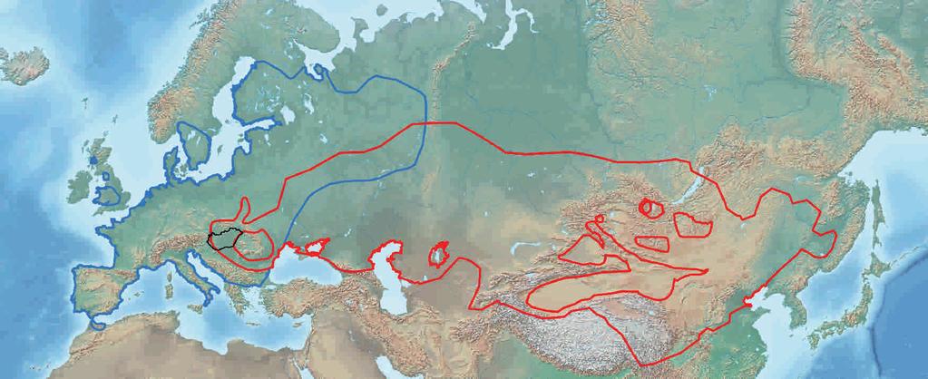 HOL TALÁLKOZHATUNK MOLNÁRGÖRÉNNYEL? közönséges görény molnárgörény ELTERJEDÉSE EURÓPÁBAN: A molnárgörénynek Európában két számottevő, a Kárpátok által elválasztott populációja él.