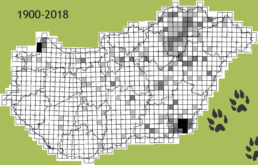 eversmanii hungarica) állományai Csehország, Kelet-Ausztria, Dél-Szlovákia,Ukrajna Kárpátoktól nyugatra fekvő részén, Magyarország és Nyugat-Románia területén fordulnak elő. A keleti populáció (M.