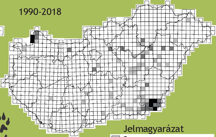 Kazahsztánban él. Itt csatlakozik az area a fő ázsiai elterjedési területhez, amely Mongólián át Kínáig húzódik.