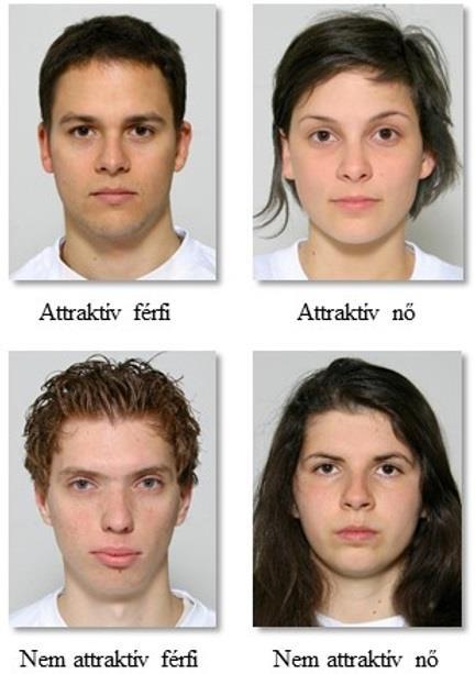 7. ábra - Minta a vizsgálatban szereplő attraktív és nem attraktív férfi és női arcokról Az így létrejött ingeranyagot a fentebb már ismertetett módon ismét megítéltettük pécsi egyetemisták egy másik