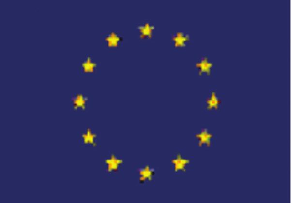 L 77/11 IV. MELLÉKLET A 3. és 4. cikkben említett információk 1. rész Szórólap Tartsuk a fertőző állatbetegségeket az Európai Unión kívül!