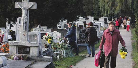 Hozz egy szál virágot... kérik tőlem gondolatban mások, korán hosszú útra indult kollégák például; ahogyan az idő halad, sajnos egyre többen.