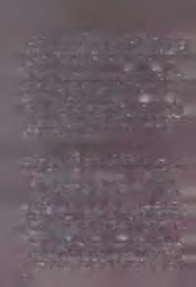 Ennek valószínűleg az a magyarázata, hogy a nyugodt vidékeken a gyenge, ellentétes polaritású mágneses tér kevert állapotban van, egy-egy mágneses erővonal hurok ki- és belépése a fotoszférába
