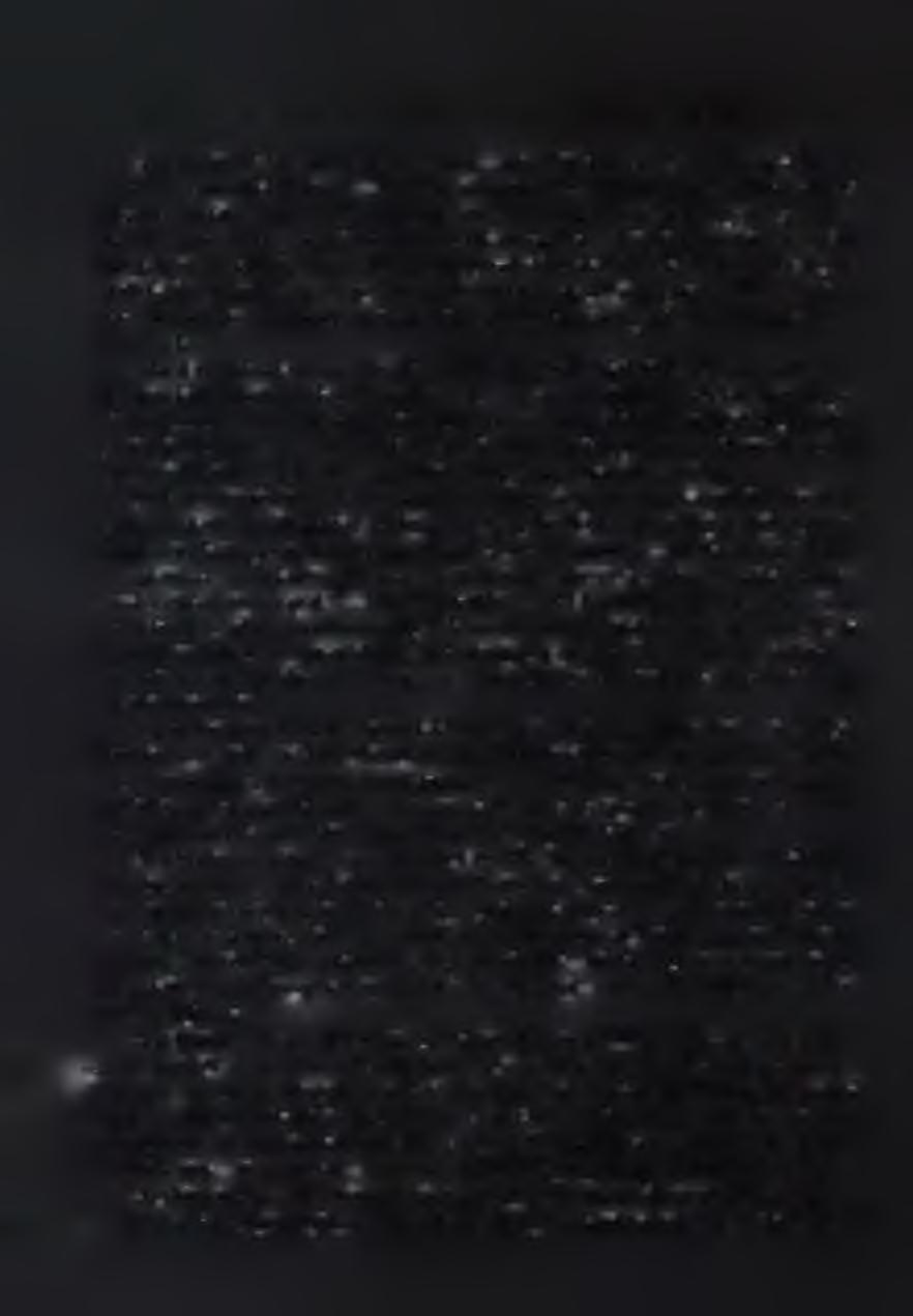 Többek között kifejtette, hogy az elítéltek túlnyomó többsége, az amerikai fogvatartottak 95%-a egykor szabadulni fog, visszakerül a társadalomba, tehát a témát nem lehet a szőnyeg alá söpörni, mint