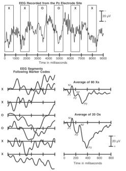 Neuroinformatika kurzus / Szentágothai Doktori Iskola 10 Az EEG-től az -ig EEG átlagolása -> eseményhez kötött potenciálok (, angol: event related potentials, ERPs) Lényeg: a