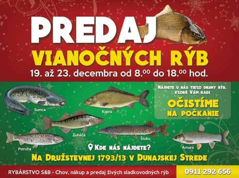 cena platí pri odbere od 000 ks vizitiek a je prepočítaná konverzným kurzom,- / 30, Sk. Všetky ceny sú uvádzané bez DPH 9%.