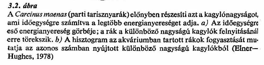 Táplálék energiája mellett a megszerzéséhez szükséges idő is számít Parti