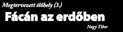 vadászatok szakszerű szervezhetősége és lőtechnikai adottságai mind fontos kérdések egy vadászerdő kialakításánál. tosítani.