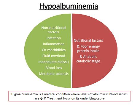 Táplálásterápiával az alacsony albuminszint ellen? Effects of nutri-onal counseling in the form of individualized meal plan on serum albumin level among hemodialysis pa-ent,s.