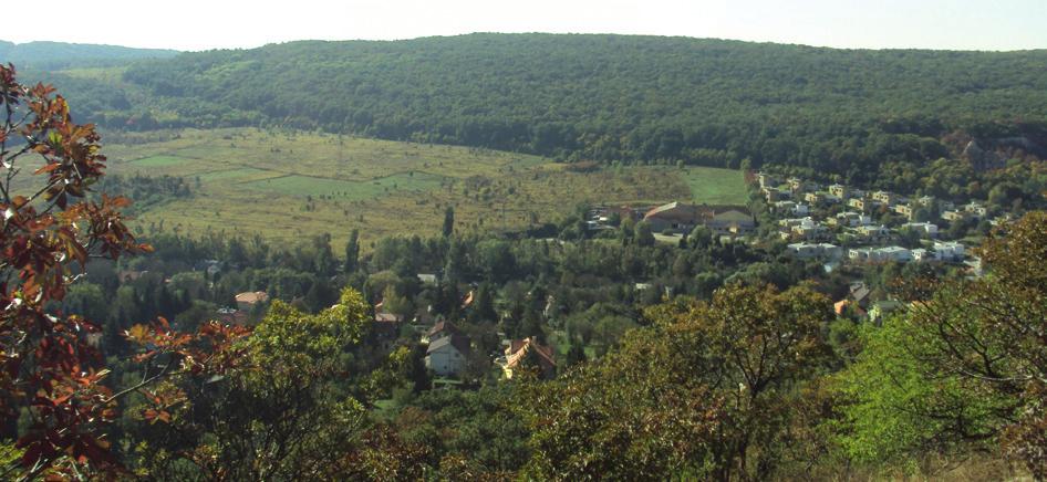 165 5. kép: Csíkos kecskerágó (Euonymus europaeus) terméses ágai is felhívják magukra a figyelmet 6.