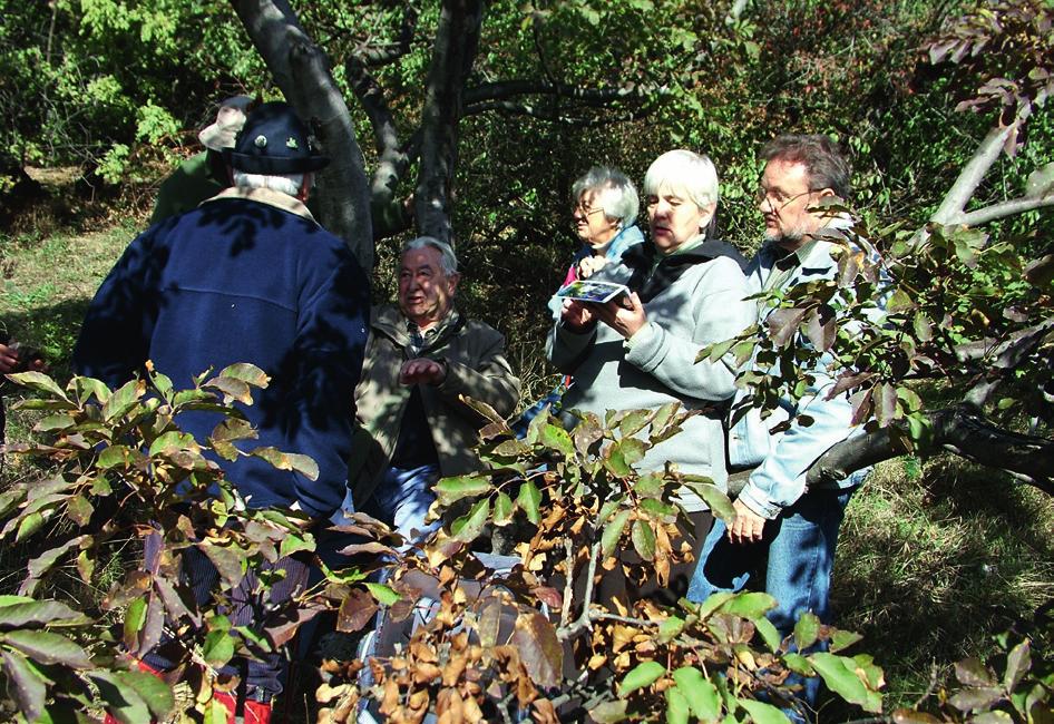 166 GYÓGYSZERÉSZET 2014. március 7.