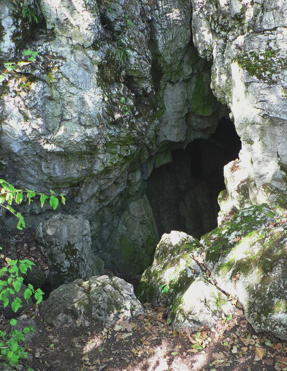2014. március GYÓGYSZERÉSZET 11.