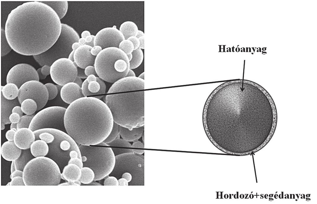 2014. március GYÓGYSZERÉSZET 133 4. ábra: Nagy szemcseméretű (~ 100 µm), módosított felületű laktóz-monohidrát elektronmikroszkópos felvétele [16]. 5.