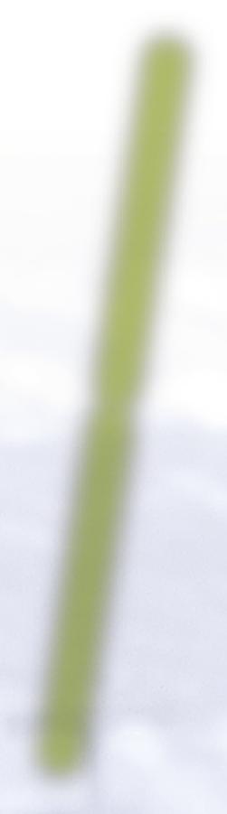 Sporogenes, rezisztens