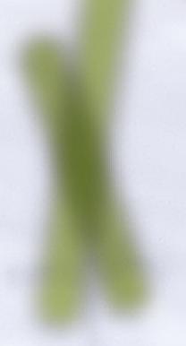 antibiotikum okozta