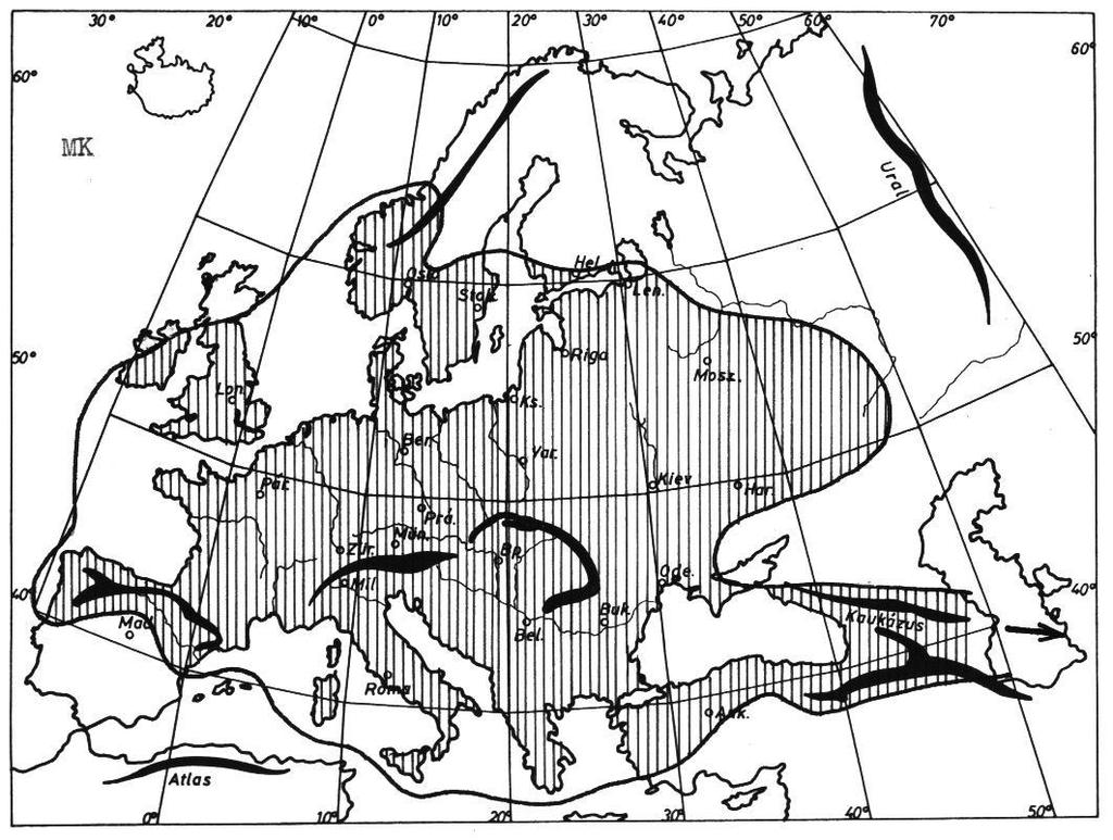 3. A kutatási téma szakirodalmának áttekintése 3.1. A magas kőris (Fraxinus excelsior L.