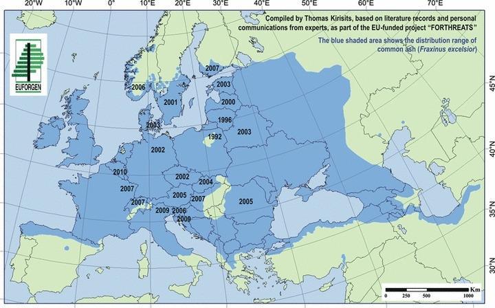 9. ábra: A kórokozó tüneteinek első észlelése az egyes országokban (forrás: Timmermann és mtsai 2011) Az 1990-es évek közepétől legelőször Lengyelországban és Litvániában észlelték a magas kőris