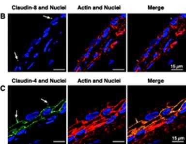 Physiology Published