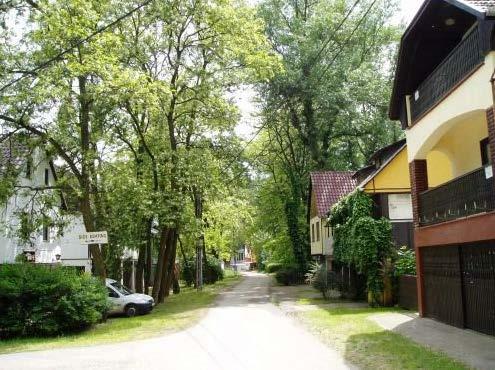 jellemzőket mutattuk be, a