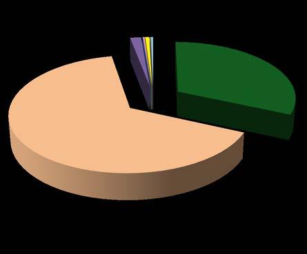 A partéltől számított 10 m-es sávon belül található tereptárgy, építési műtárgy és növénytakaró aránya 65% 2% 32% Erdős sáv Fás-cserjés terület Sűrűbb természetes növényzet Torkolat Híd Kikötő