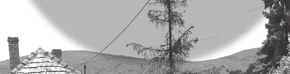 DÉLELŐTTI BESZÉLGETÉSINDÍTÓ ELŐADÁSOK (30 perc) A gyógyulás kezdete: felelősségvállalás az életünkért.