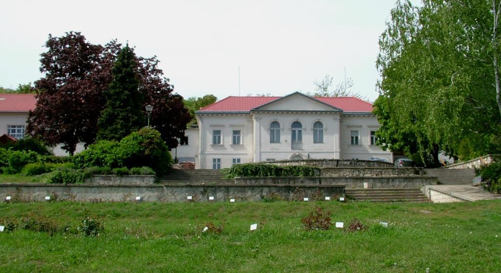 Majd rehabilitálják. Így lesz a gátőrből a Narancskutató Intézet vezetője. Az Előre a Magyar Narancsért!