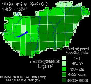 Elterjedés - állományhelyzet Erdeteileg Kis-Ázsiai faj,