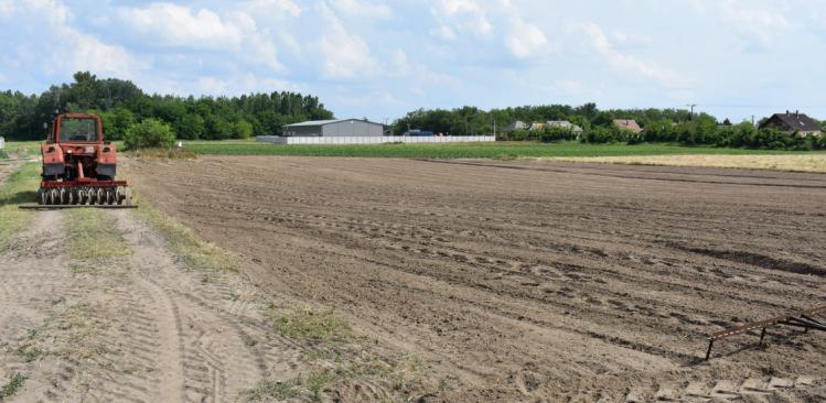 kialakításával lehetséges. A HÉSZ 11. (3) bekezdése alapján az előkert 8,0 m, az oldalkert és hátsókert mérete 6,0 m.